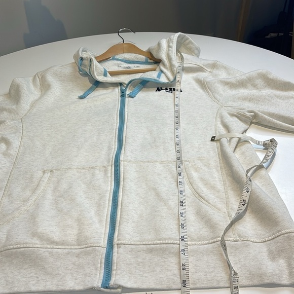 Disney Cruise Line Alaska Hoodie Size Large - Picture 6 of 8